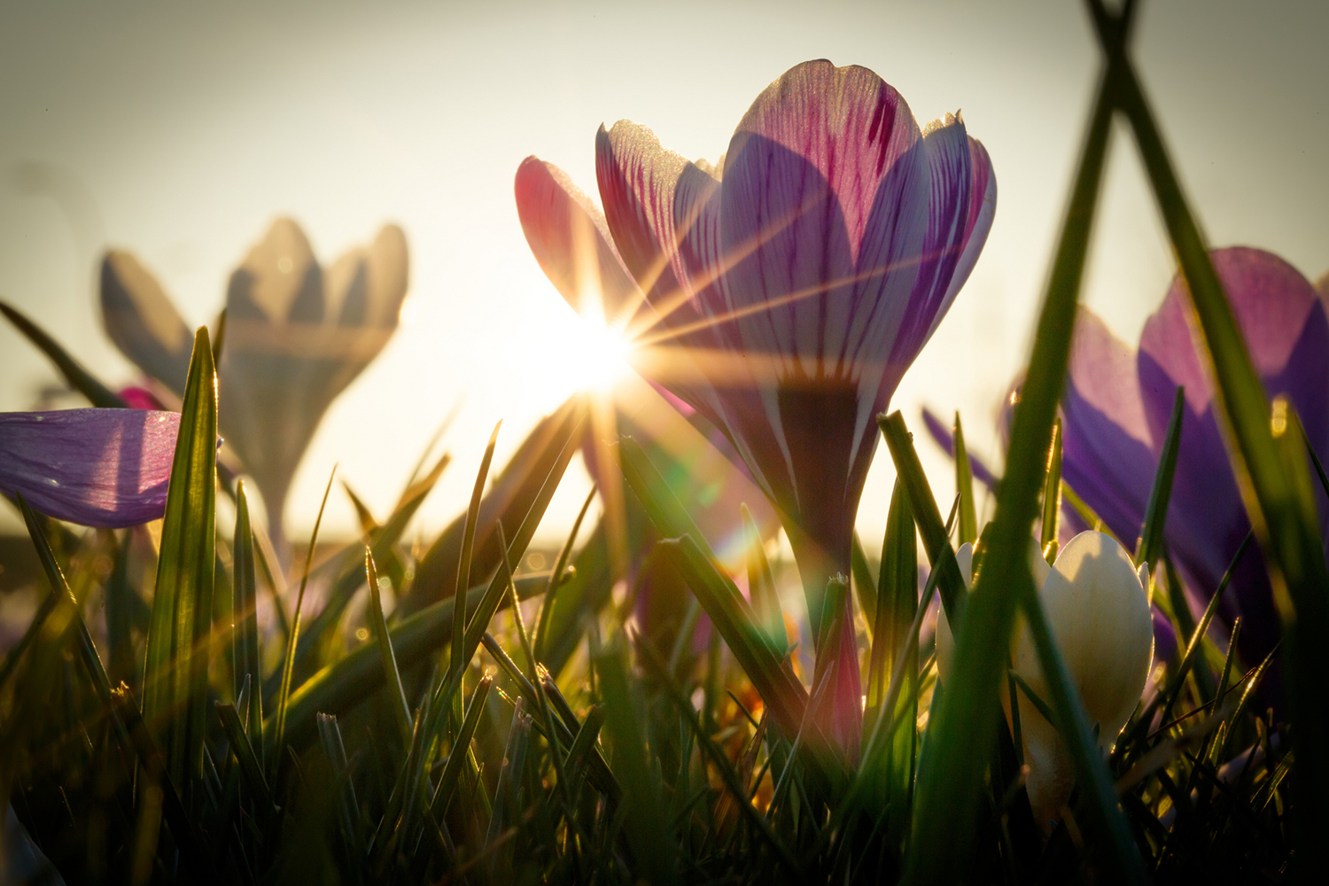 Featured portfolio image